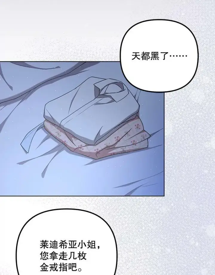 《成为皇帝的专属翻译》32.决心离宫图26