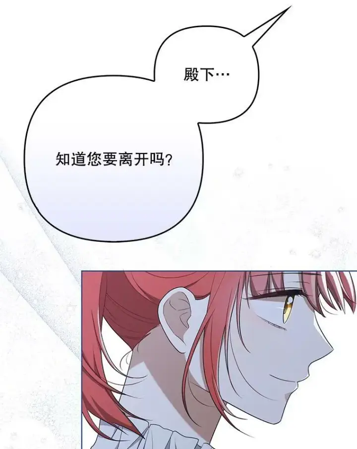 《成为皇帝的专属翻译》32.决心离宫图47