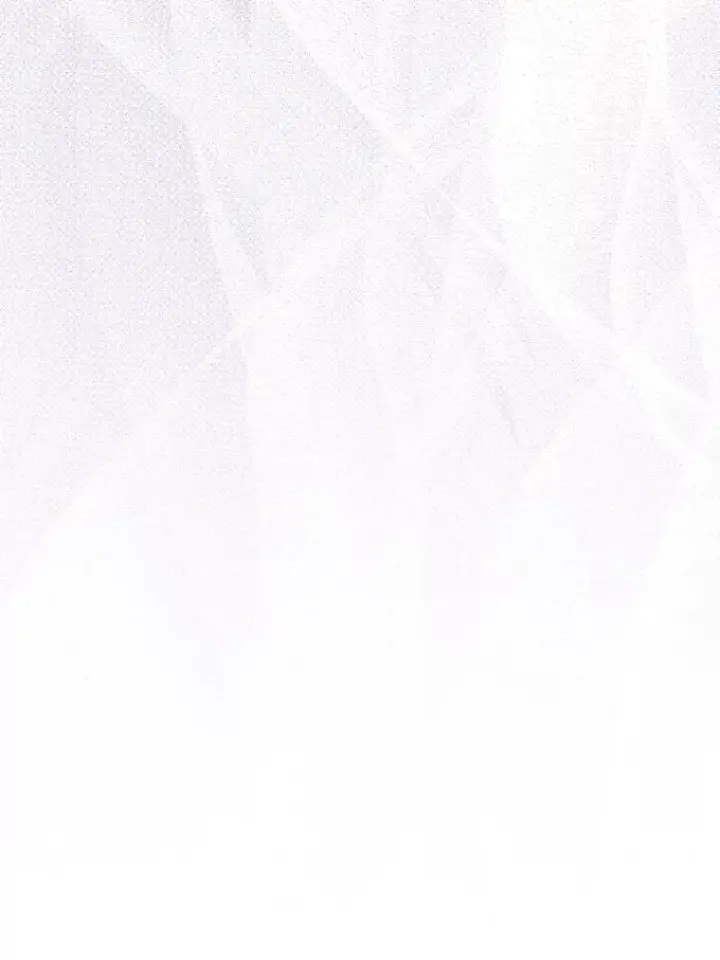 《成为皇帝的专属翻译》34.固执的婢女图59