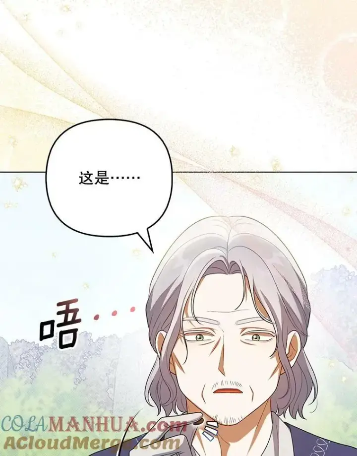 《成为皇帝的专属翻译》38.订婚图33