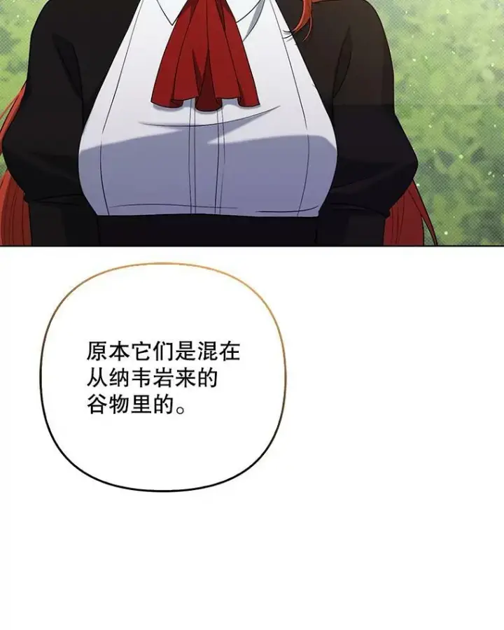 《成为皇帝的专属翻译》38.订婚图36
