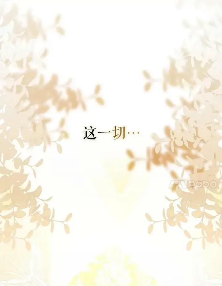 《成为皇帝的专属翻译》42.我带来的变化图71