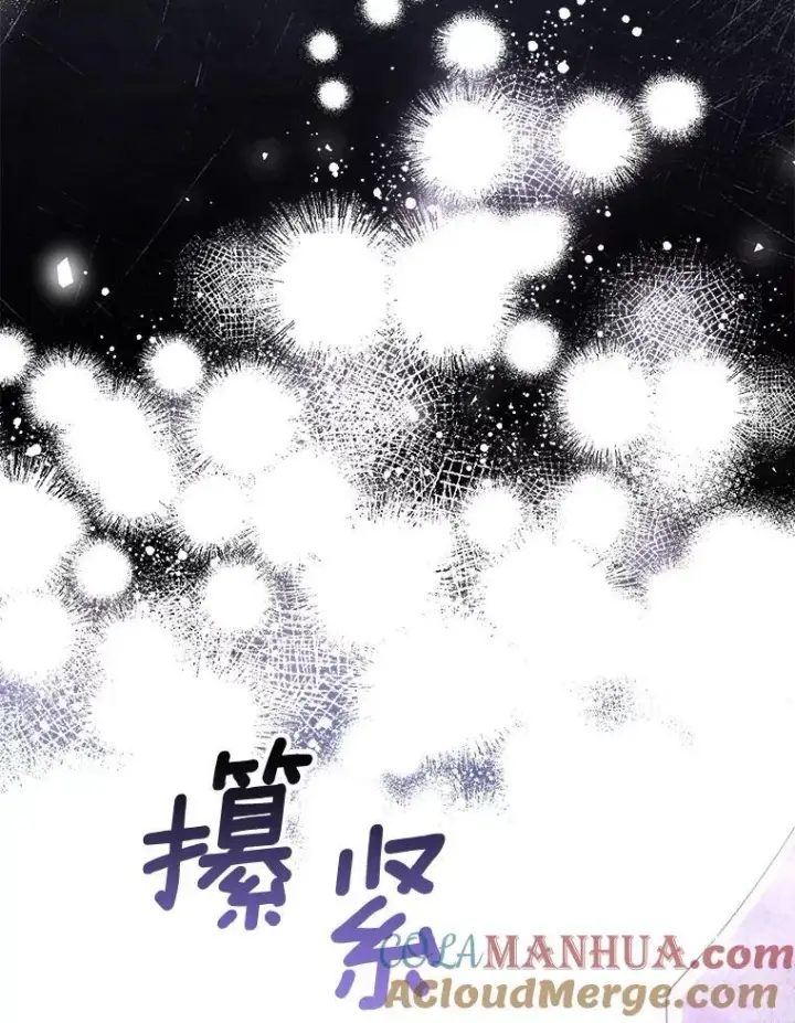 《成为皇帝的专属翻译》48.刺杀图93