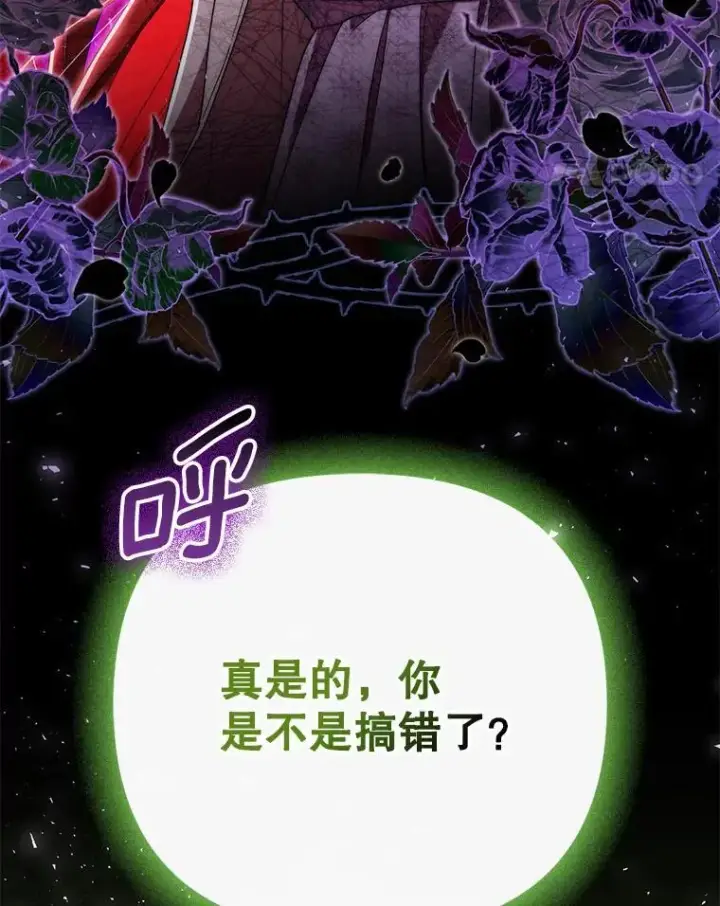 《成为皇帝的专属翻译》49.秘密信道图107