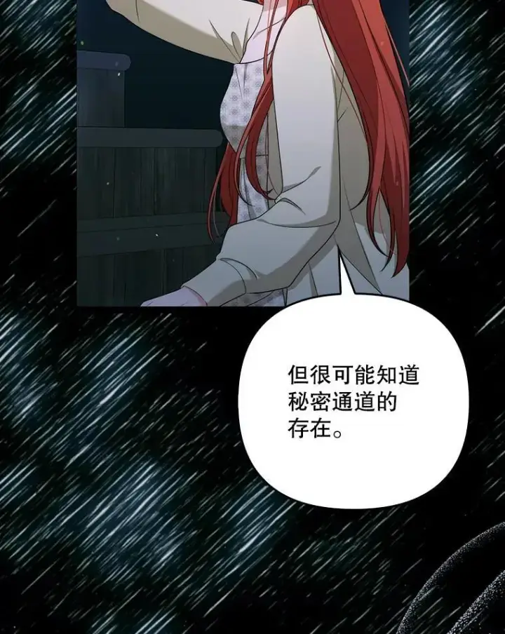《成为皇帝的专属翻译》49.秘密信道图40