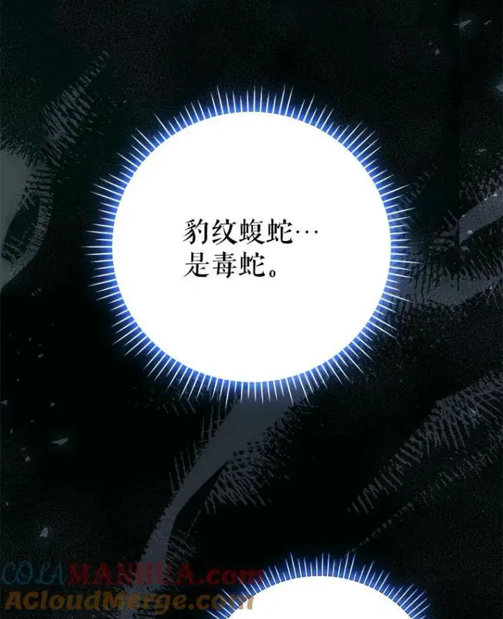 《成为皇帝的专属翻译》49.秘密信道图53