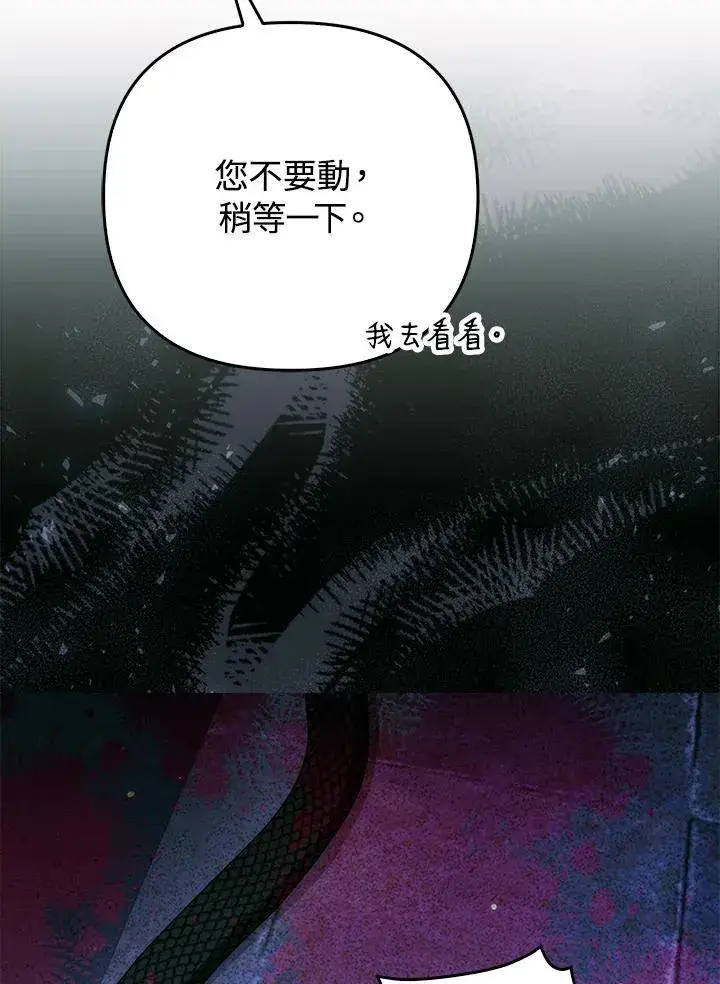 漫画《成为皇帝的专属翻译》第49话第48张图