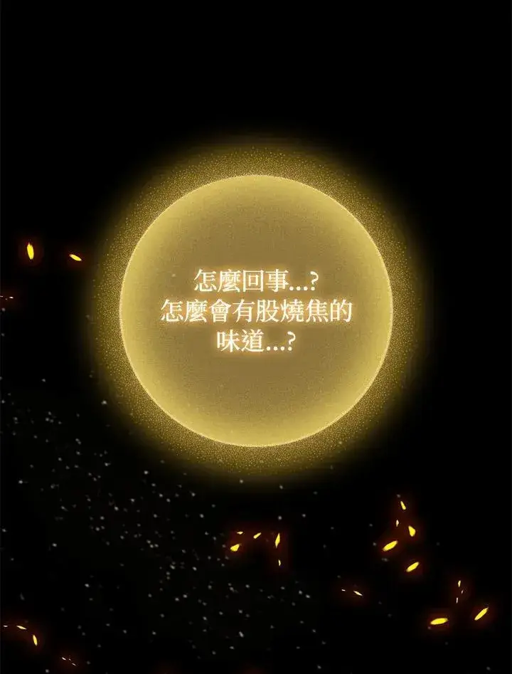 漫画《成为皇帝的专属翻译》第67话第75张图