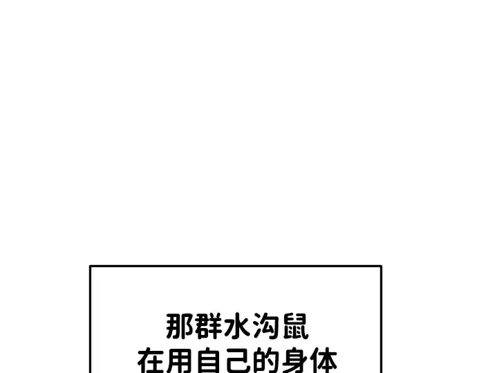 漫画《成为塔防游戏里的暴君》第30话第319张图