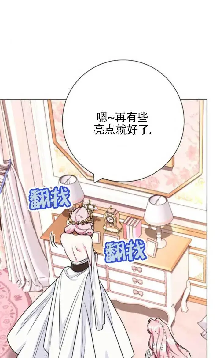《成为颓废文男主的妈妈》外传06图33