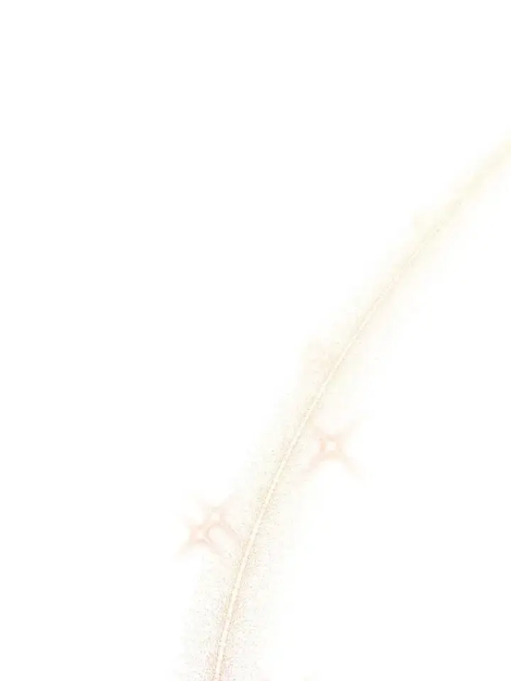 《成为主角的命定救星》30.小不忍则乱大谋图91