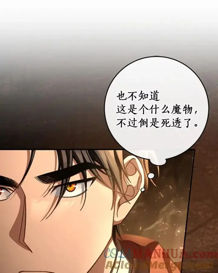 《成为主角的命定救星》33.迷宫内核图109