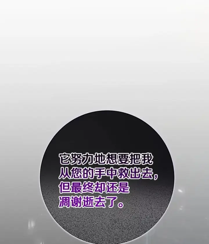 《成为主角的命定救星》44.成人仪式图119