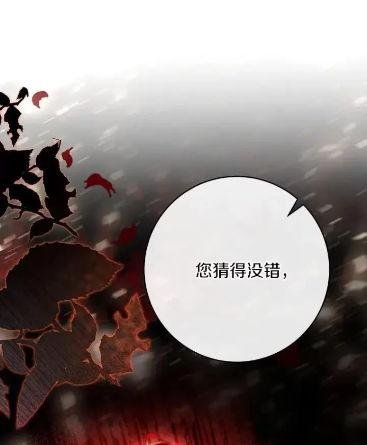 《成为主角的命定救星》74.暗黑过往图26