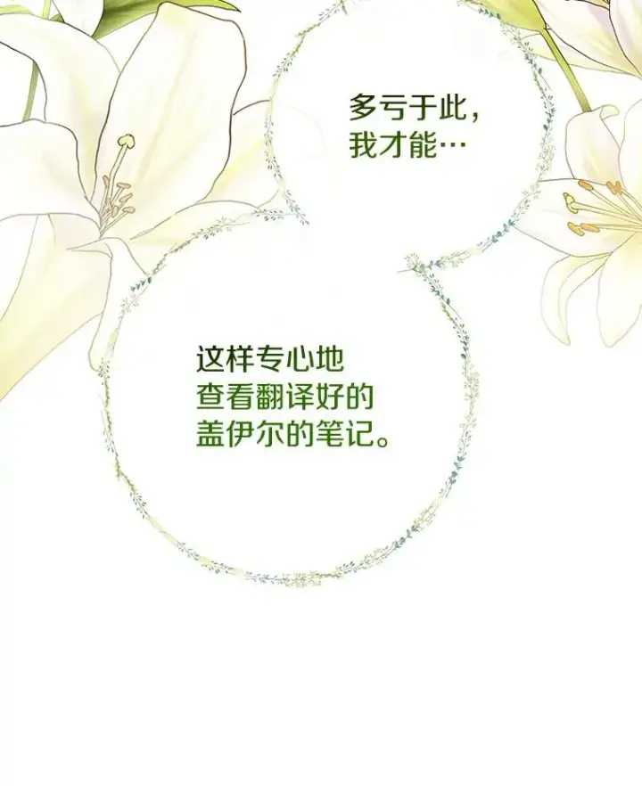 《成为主角的命定救星》81.盖伊尔的笔记图39