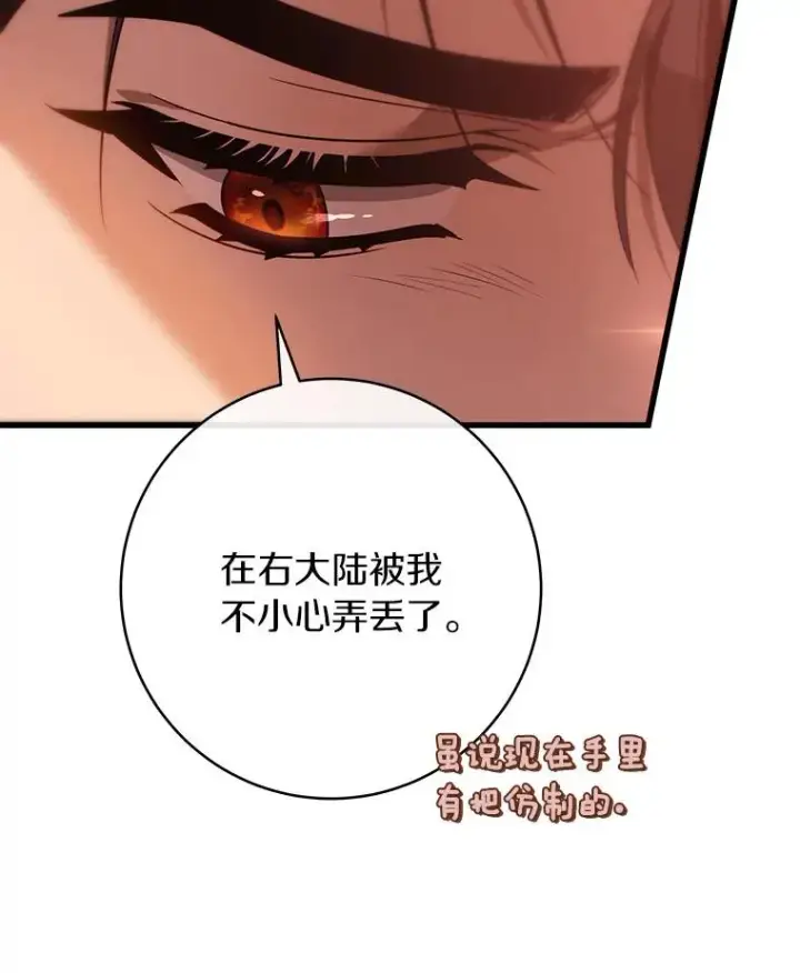 《成为主角的命定救星》84.生日礼物图102