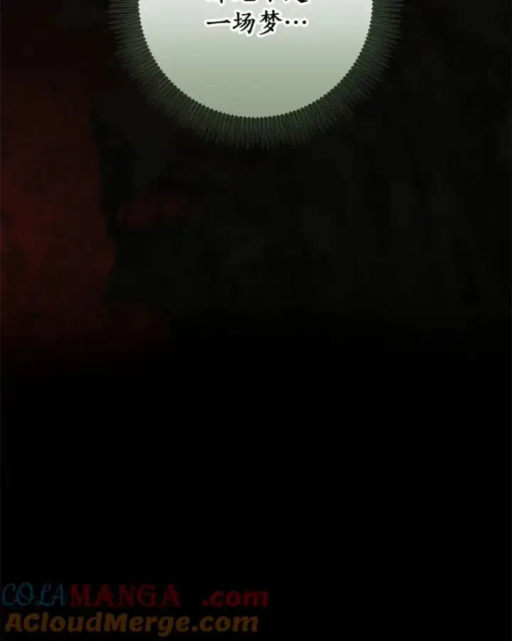 《成为主角的命定救星》98.噩梦图109