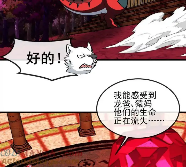 《重生为怪兽什么鬼》第211话 小龙夔爷的援助图40