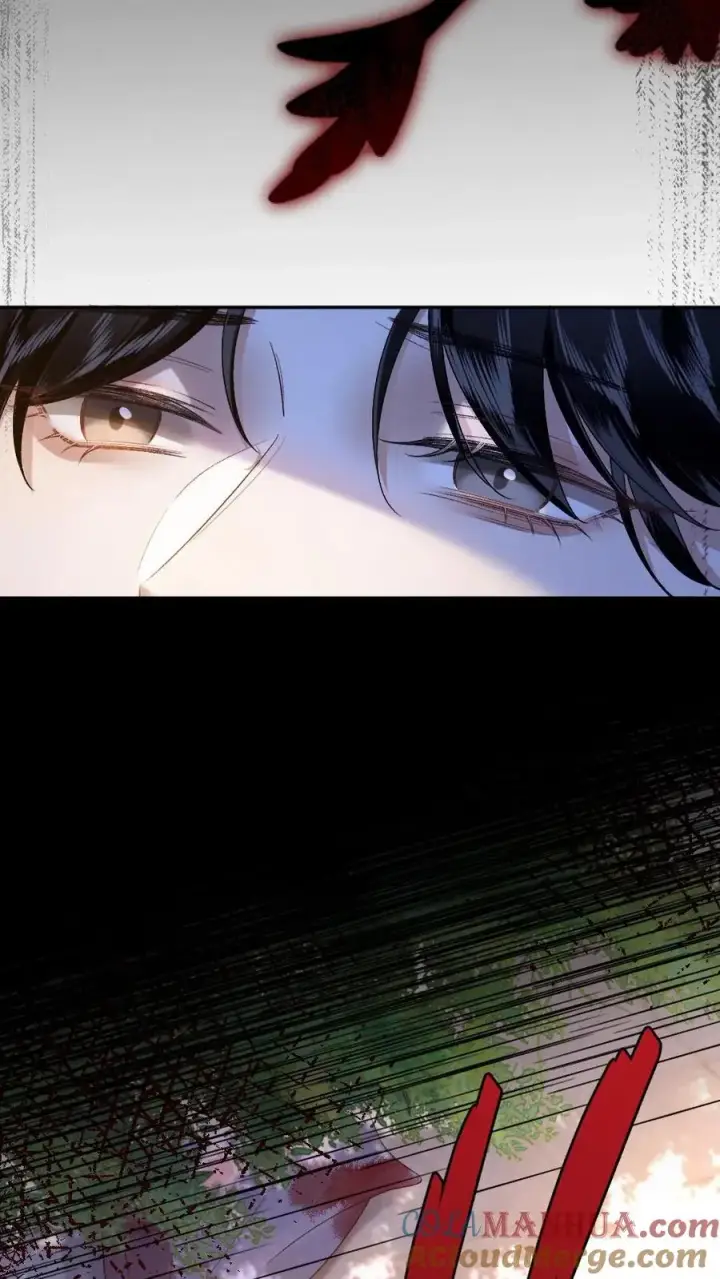 漫画《穿成恶毒炮灰的我被迫开启修罗场》第104话 幻境第13张图