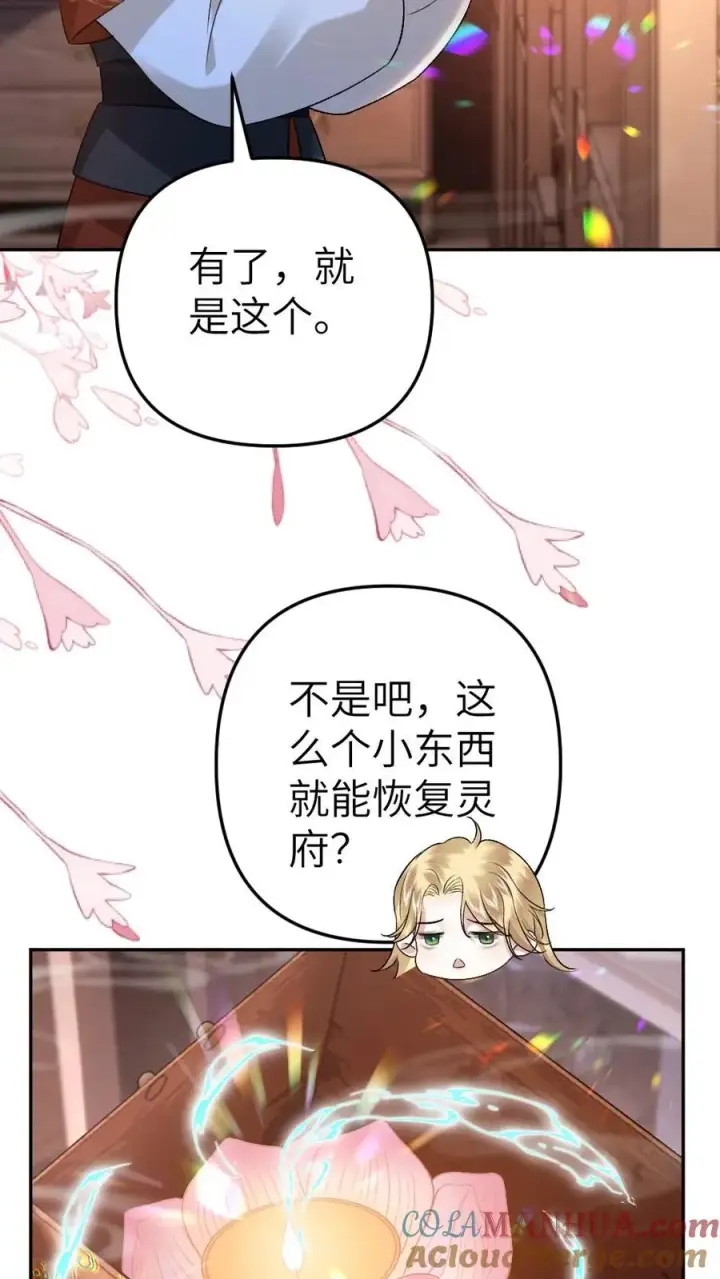 漫画《穿成恶毒炮灰的我被迫开启修罗场》第104话 幻境第5张图