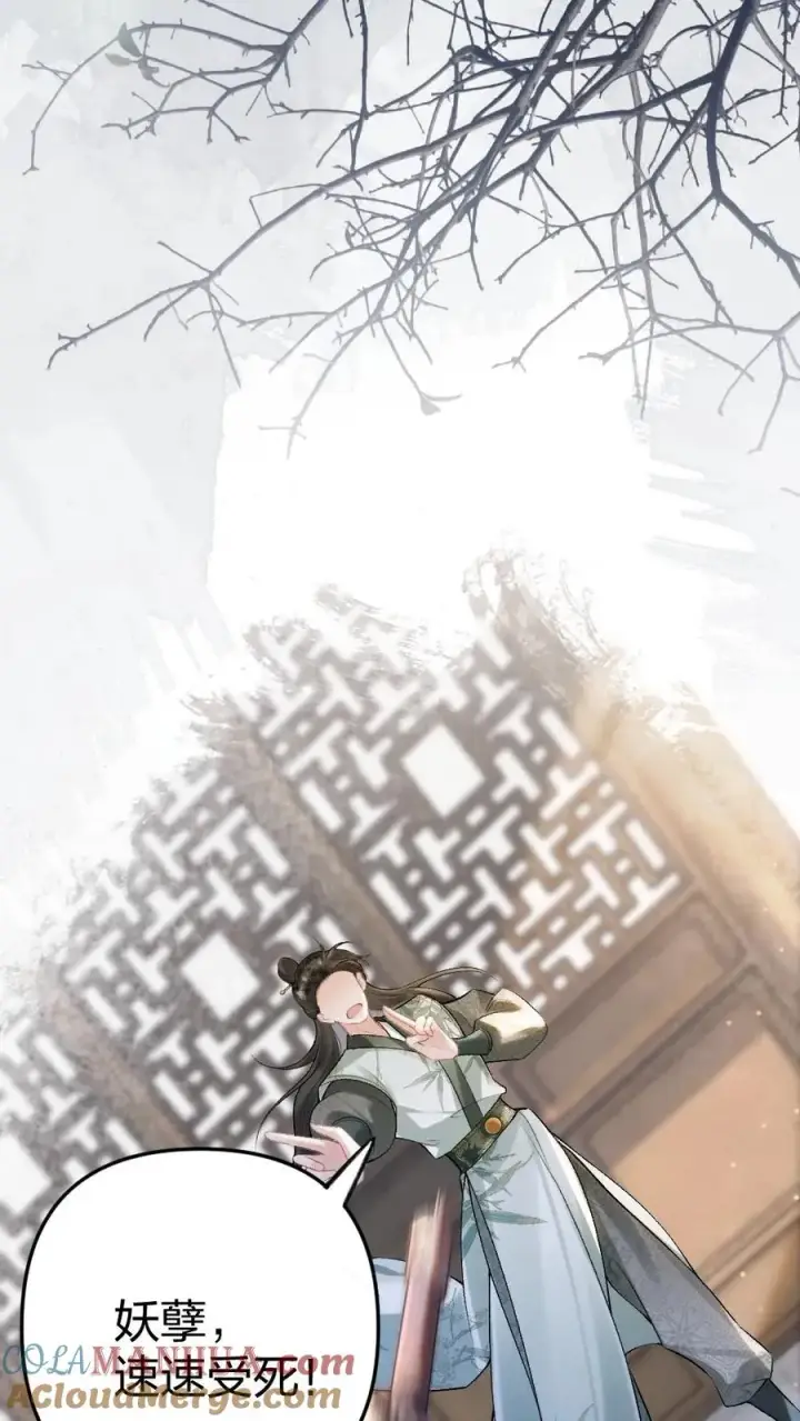 漫画《穿成恶毒炮灰的我被迫开启修罗场》第1话 一不小心穿书了第33张图