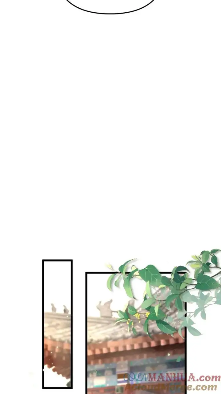 漫画《穿成恶毒炮灰的我被迫开启修罗场》第25话 小师弟的迷弟唐子臣第17张图