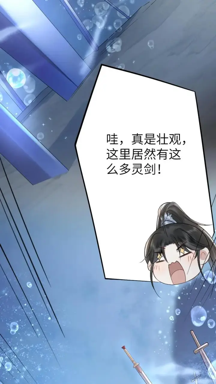 漫画《穿成恶毒炮灰的我被迫开启修罗场》第36话 折柳剑第10张图