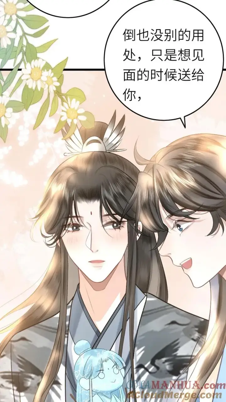 漫画《穿成恶毒炮灰的我被迫开启修罗场》第46话 送雪人给小师弟第17张图