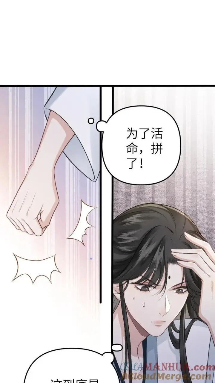漫画《穿成恶毒炮灰的我被迫开启修罗场》第4话 顺利搭上小师弟第3张图