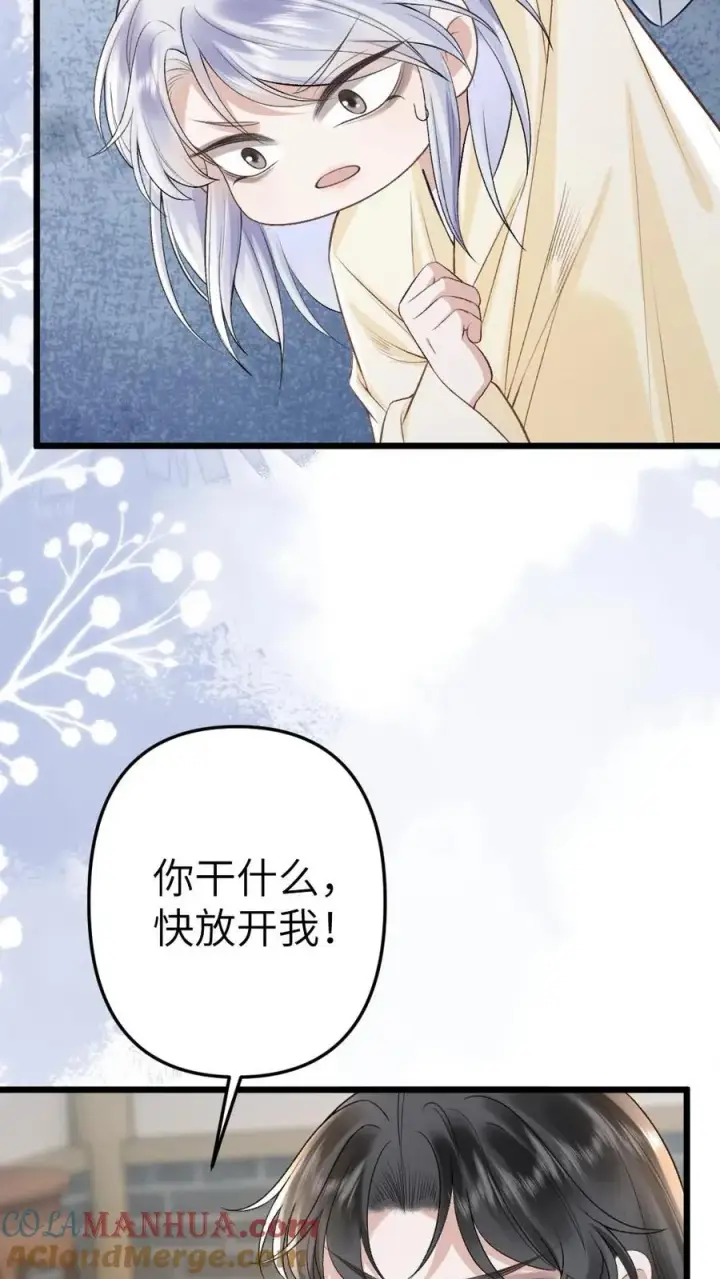 漫画《穿成恶毒炮灰的我被迫开启修罗场》第86话 像寒生的孩子第31张图