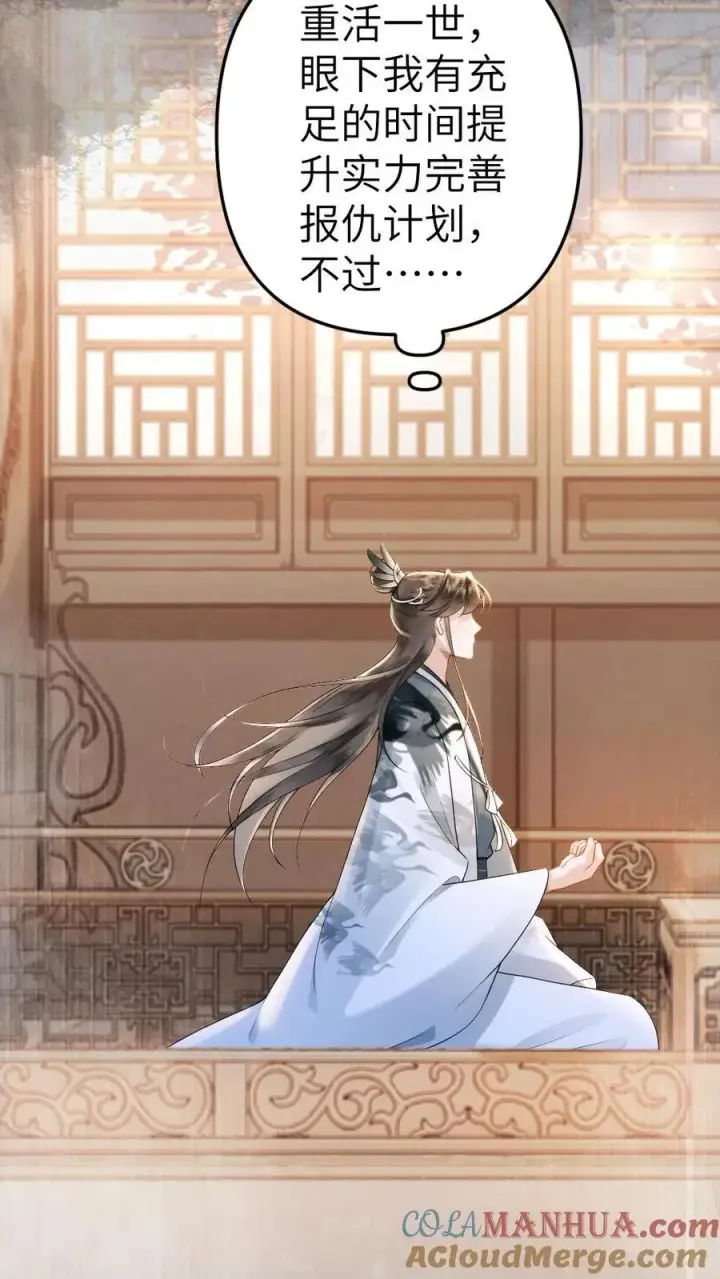 漫画《穿成恶毒炮灰的我被迫开启修罗场》第8话 青玉长老第13张图