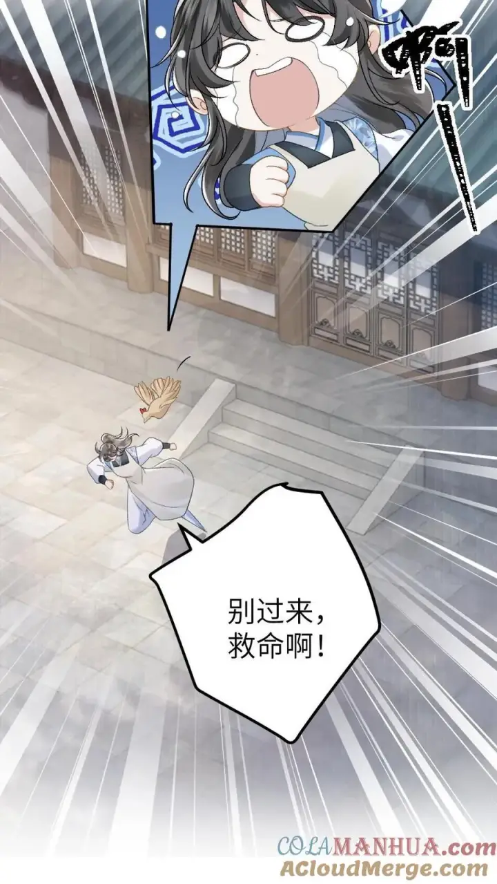 漫画《穿成恶毒炮灰的我被迫开启修罗场》第8话 青玉长老第21张图