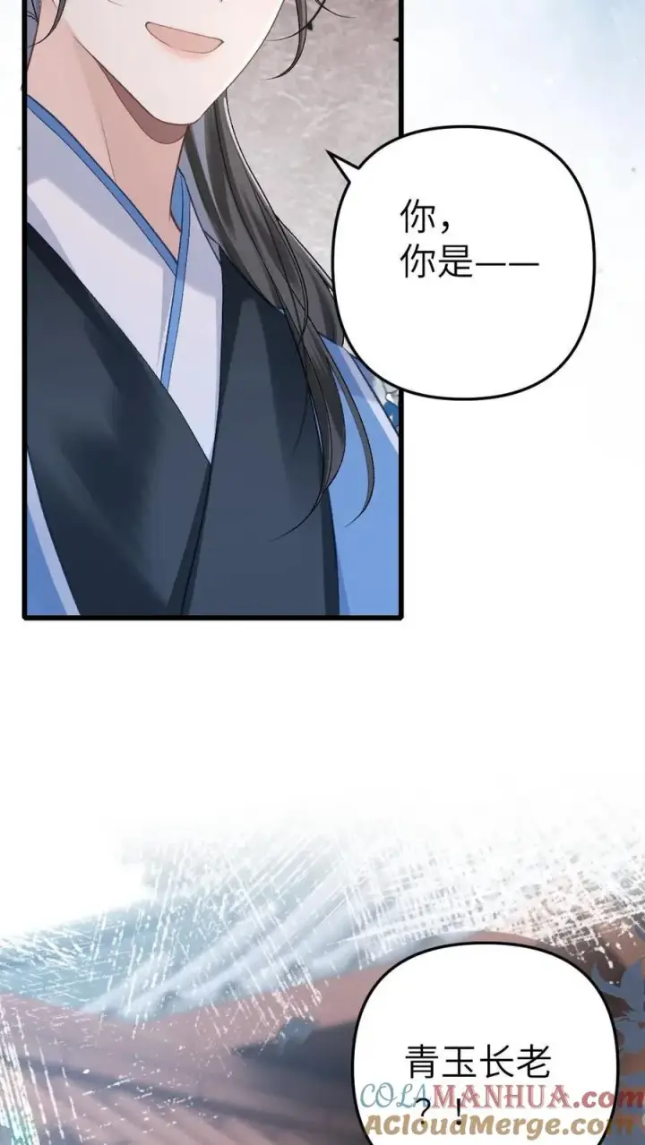 漫画《穿成恶毒炮灰的我被迫开启修罗场》第8话 青玉长老第33张图