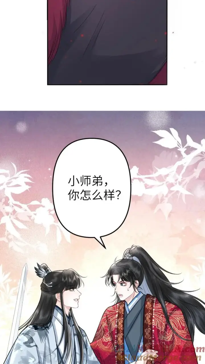 漫画《穿成恶毒炮灰的我被迫开启修罗场》第91话 和小师弟并肩战斗第29张图
