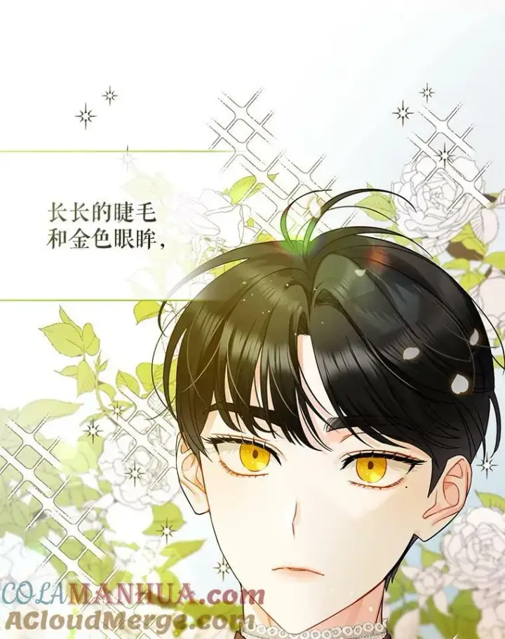 漫画《穿成后悔偏执狂的妹妹》1.穿越第95张图