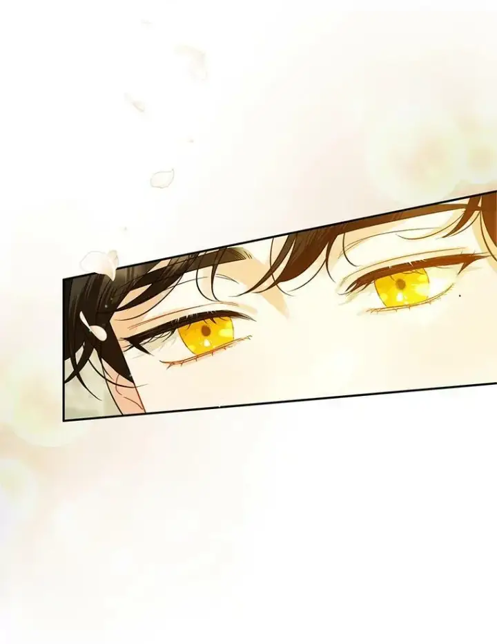 漫画《穿成后悔偏执狂的妹妹》6.卢希安的变化第28张图