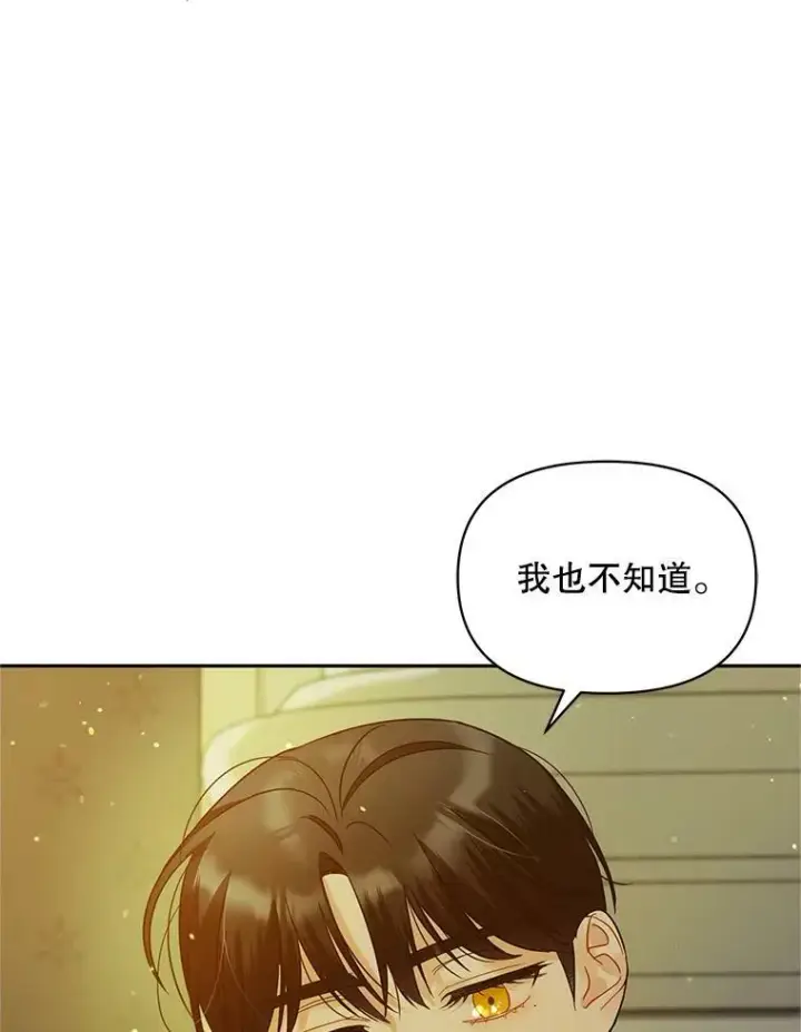 漫画《穿成后悔偏执狂的妹妹》6.卢希安的变化第62张图