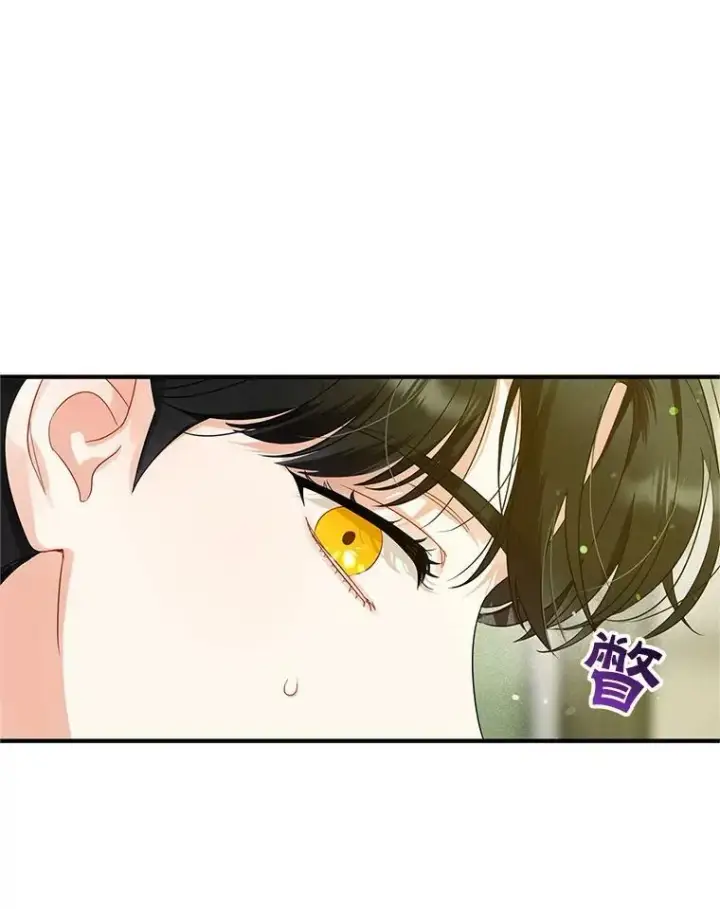 漫画《穿成后悔偏执狂的妹妹》7.公爵夫人第102张图