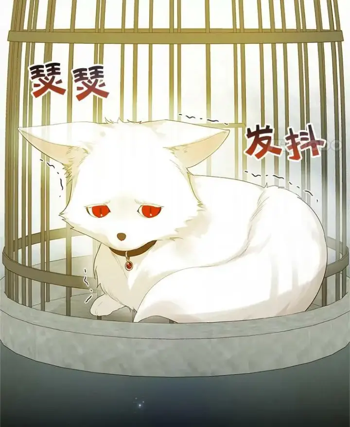 漫画《穿成后悔偏执狂的妹妹》10.练武独处第114张图