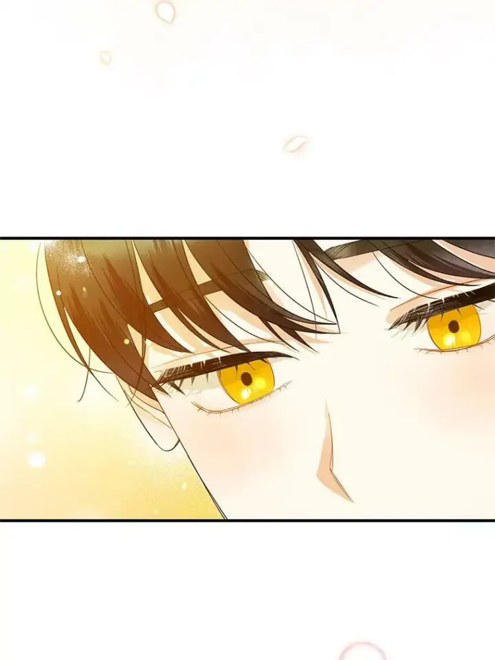 漫画《穿成后悔偏执狂的妹妹》10.练武独处第78张图