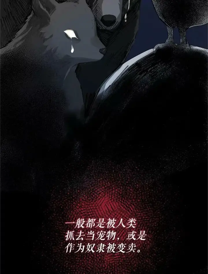 漫画《穿成后悔偏执狂的妹妹》11.兽人第14张图