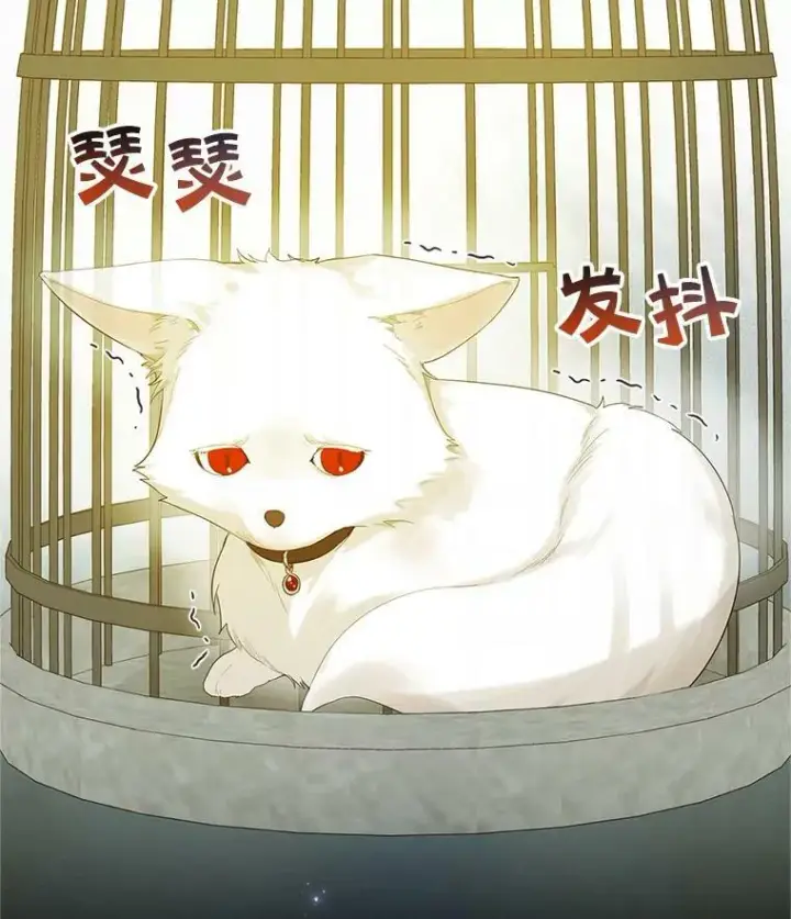 漫画《穿成后悔偏执狂的妹妹》11.兽人第2张图
