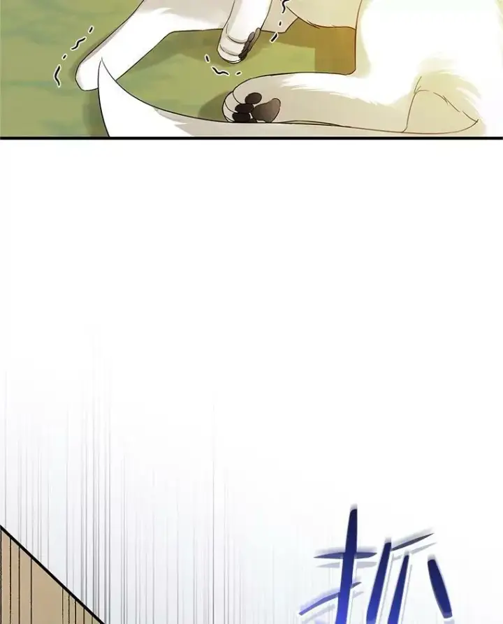 漫画《穿成后悔偏执狂的妹妹》12.攻击第11张图