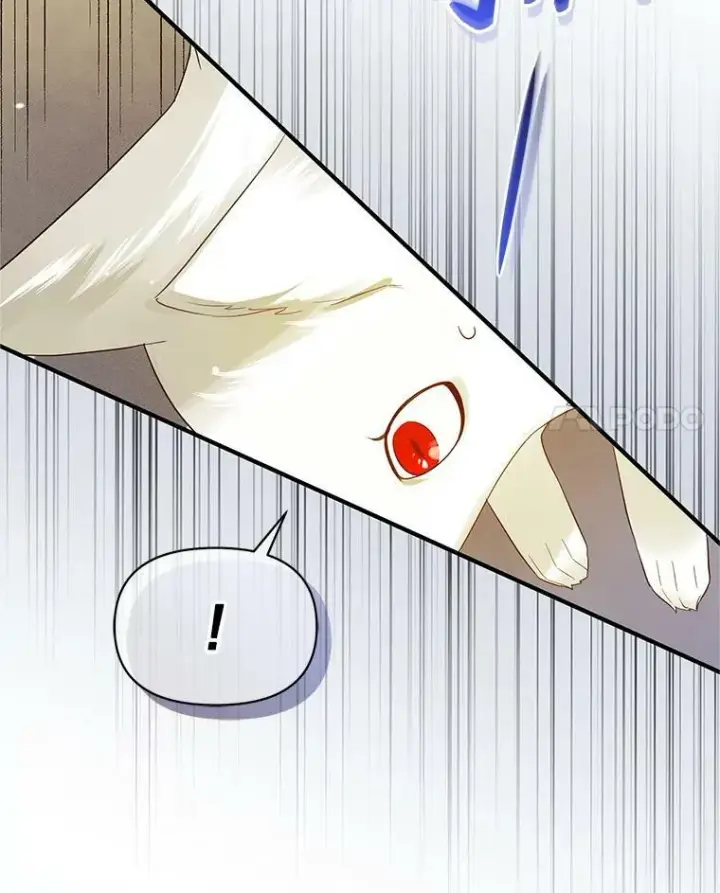 漫画《穿成后悔偏执狂的妹妹》12.攻击第12张图
