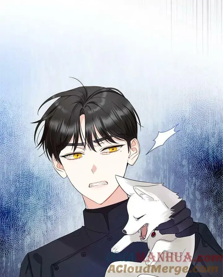漫画《穿成后悔偏执狂的妹妹》12.攻击第13张图