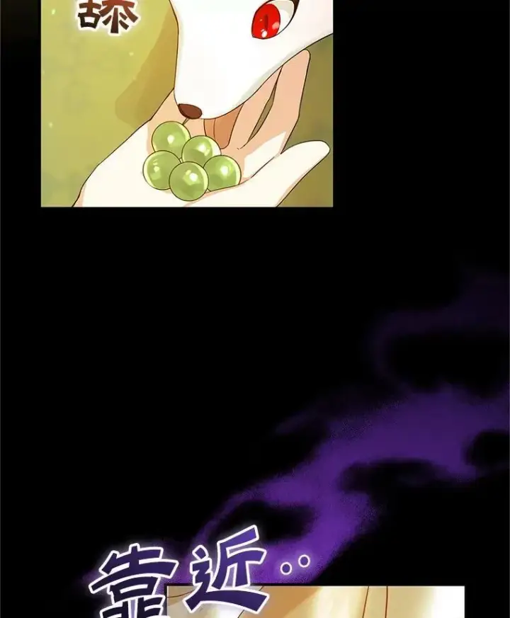 漫画《穿成后悔偏执狂的妹妹》12.攻击第28张图