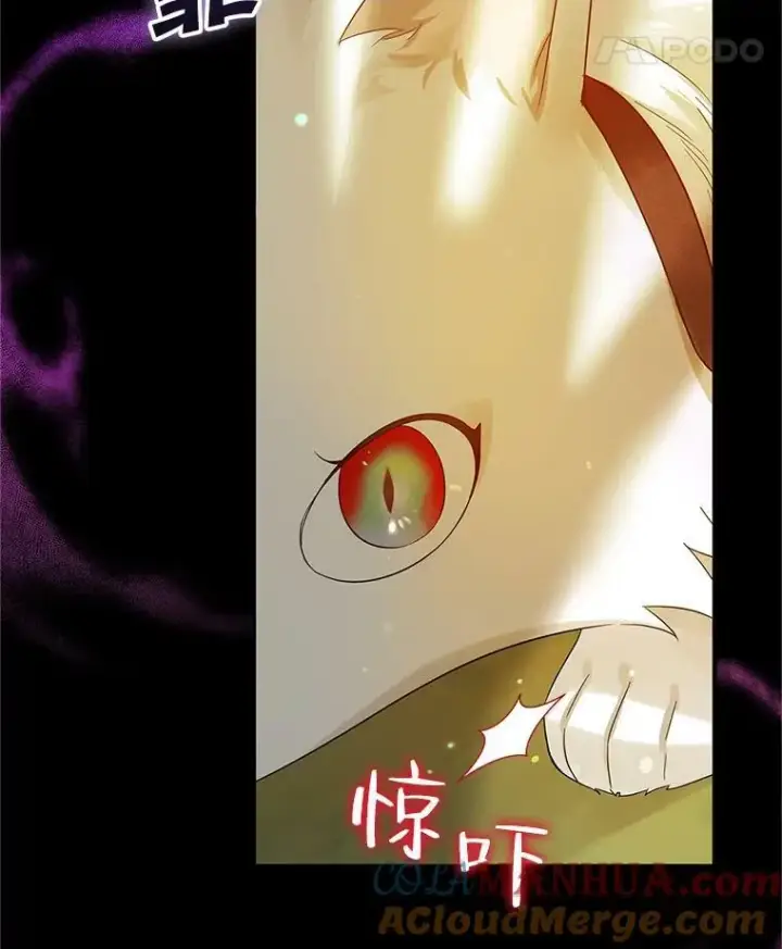 漫画《穿成后悔偏执狂的妹妹》12.攻击第29张图