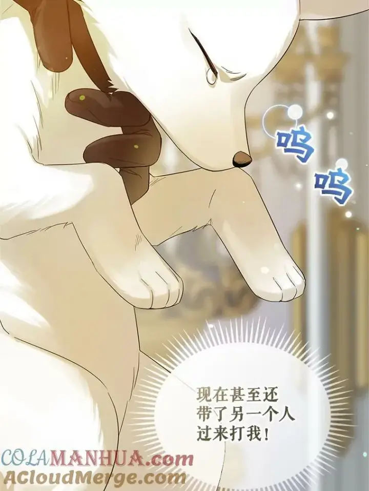 漫画《穿成后悔偏执狂的妹妹》12.攻击第33张图