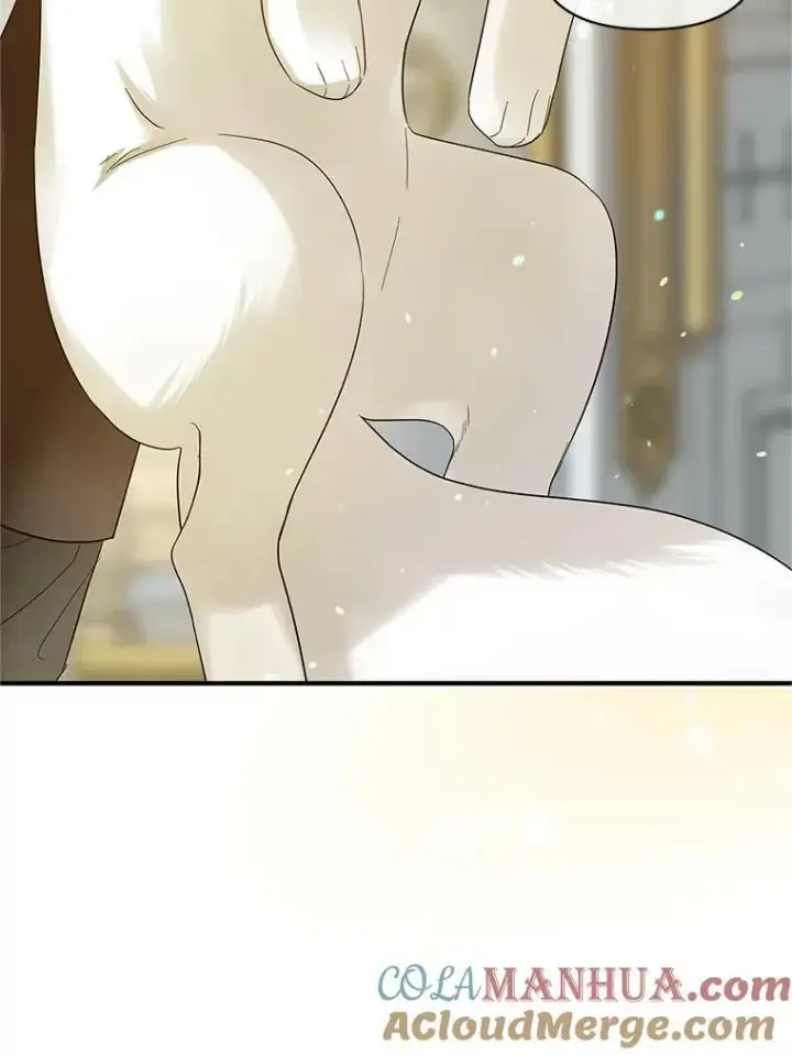漫画《穿成后悔偏执狂的妹妹》12.攻击第41张图