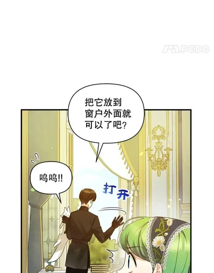 漫画《穿成后悔偏执狂的妹妹》12.攻击第42张图